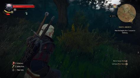 witcher 3 tvarog runestone